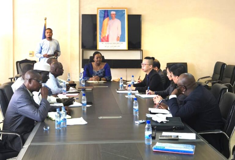 Audience accordée à la CPC par la Ministre du pétrole, des mines et de la géologie portant sur le MOU relatif à l'acquisition des nuveaux blocs pétroliers afin d'exploration et d'exploitation du pétrole